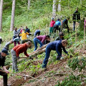 Pflanztag am Schauinsland